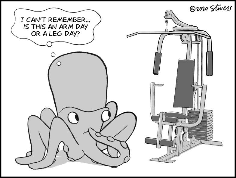Octopus in gym